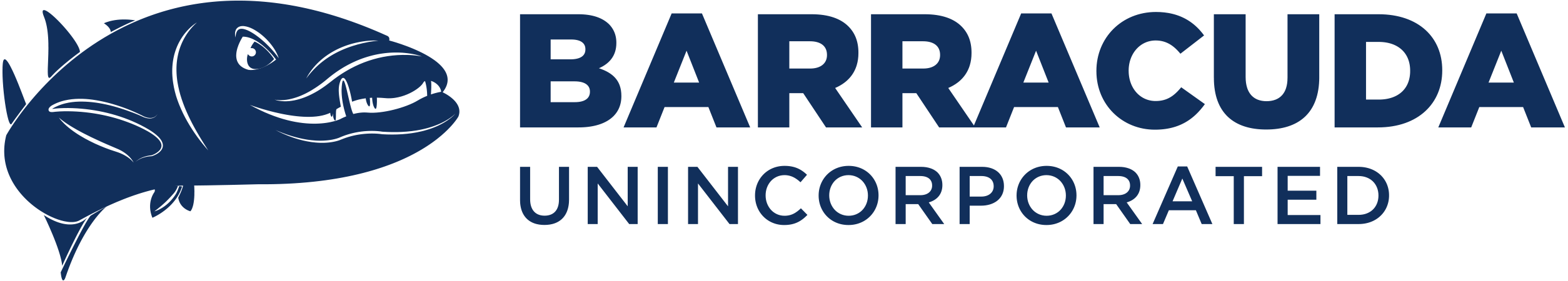 Barracuda logo